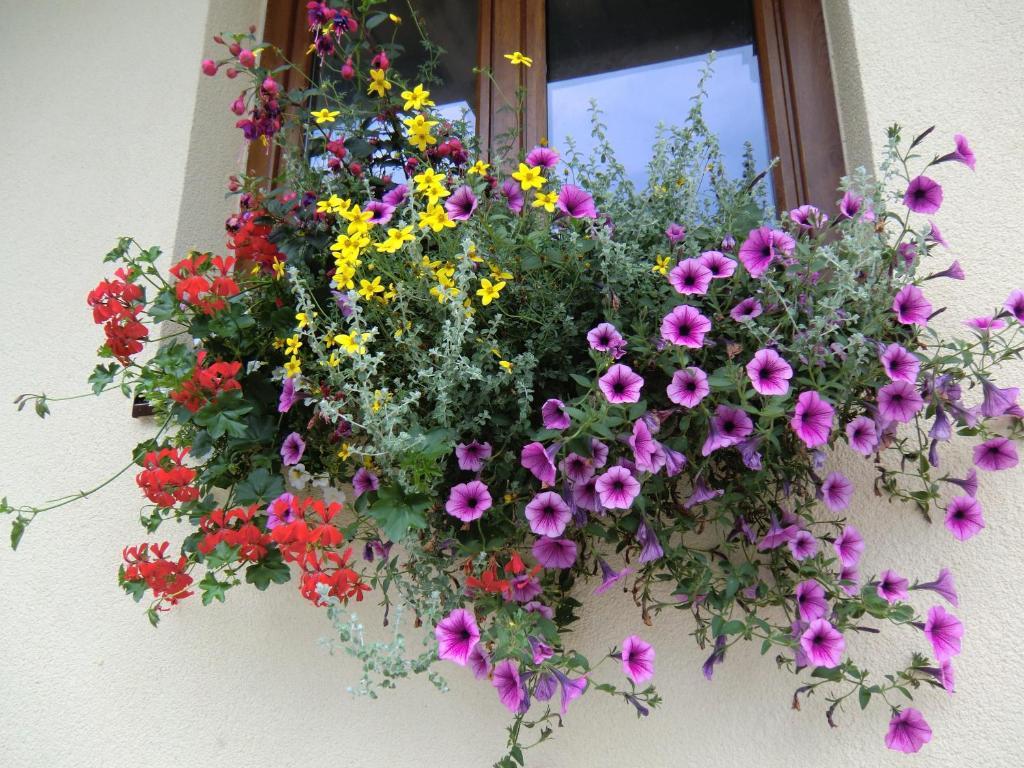 Haus Rye B&B โอเบอร์ทราวน์ ห้อง รูปภาพ